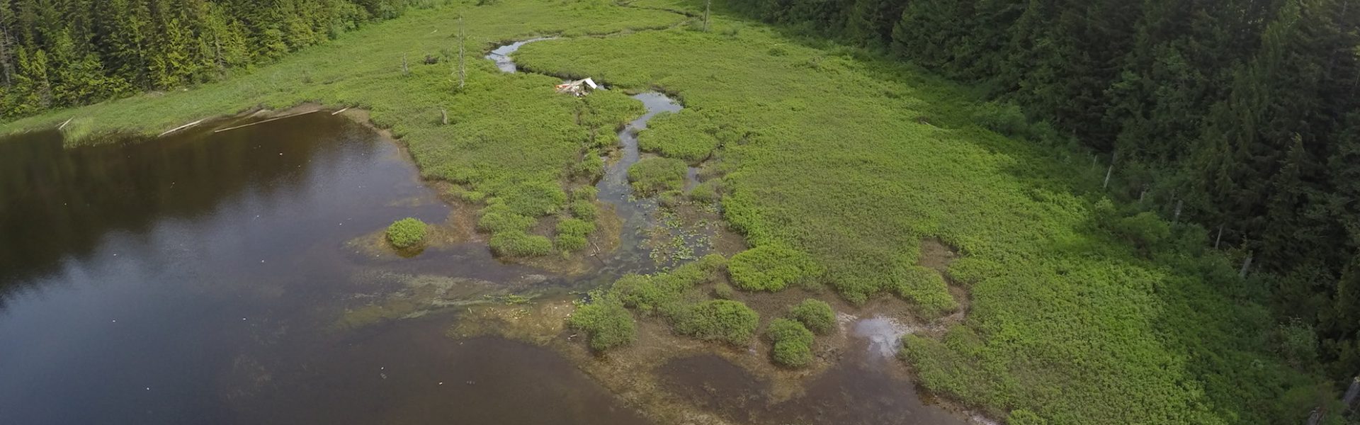 Image of the a creek running to a lake from British Columbia, Canada. This is a typical site for Field Research and collecting stickleback adults. 