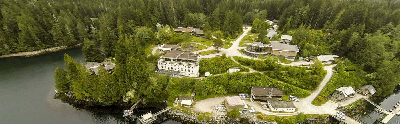 Bamfield Marine Science Center in Canada is the location for the 2025 Stickleback Meeting. This meeting occurs every three years between Europe, Asia, and North America. The picture shows the campus from above with buildings, convention space, and waterfront.